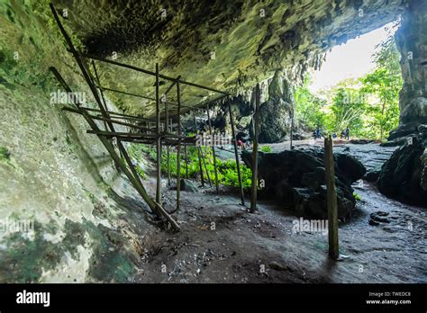 Niah Cave National Park Located At Miri Division Of Sarawak Malaysia