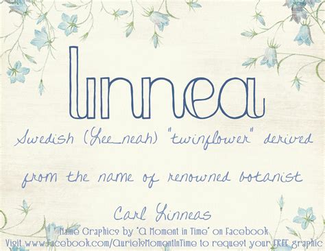 Linnea: Meaning Of Name Linnea | Nameberry.com | Baby names scottish ...
