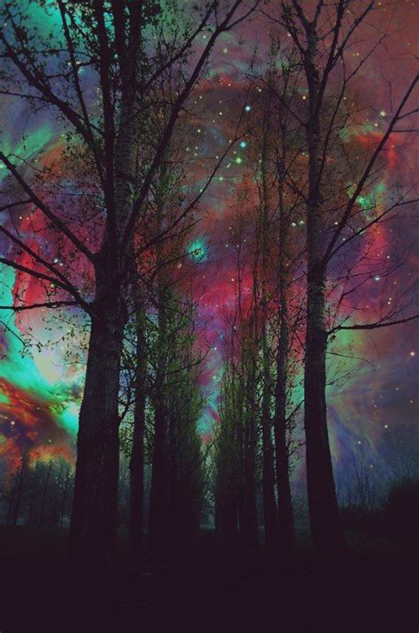 Trippy Trees Trippy Wallpaper Scenery Photography Psychedelic Art