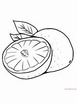 Pomelo Grapefruit Gaddynippercrayons sketch template