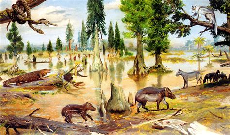 Eocene Epoch Paleontology World