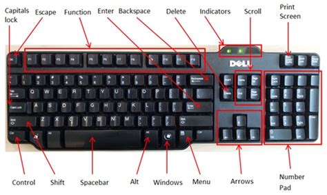 These capacities are the print screen, scroll lock, pause, and break directions, which are all more as often as possible utilized for programming and structure than for. How to Use Personal Computers - 3637 | MyTechLogy