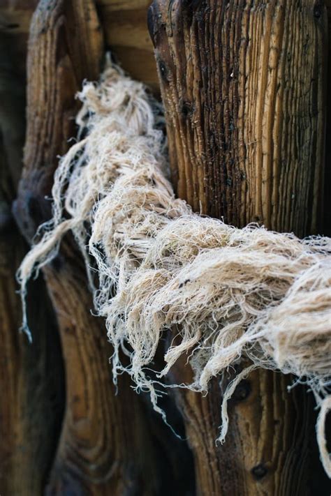 Vertical Close Up Shot Of A Shabby Hairy Rope Tied To Wooden Surfaces Stock Image Image Of