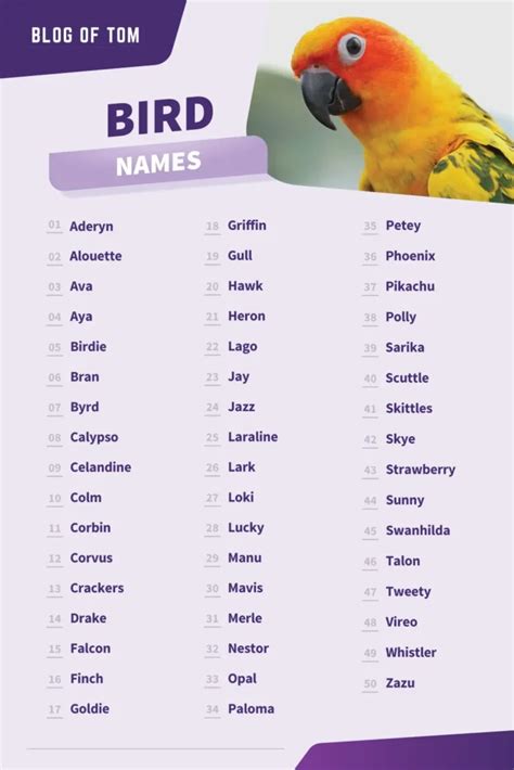 123 Best Bird Names Funny And Cute Ideas For Girls And Boys