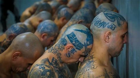 Thousands Of Tattooed Inmates Pictured In El Salvador Mega Prison Bbc News