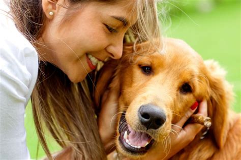 8 Razas De Perros Que Les Fascina Dar Besos Y Abrazos Perro Contento