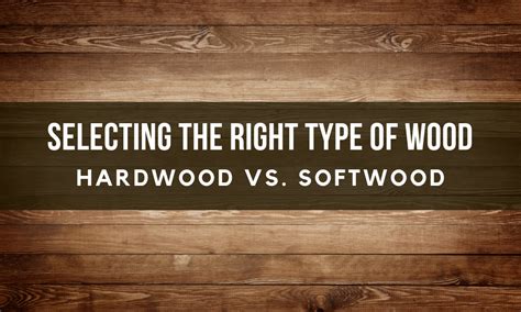 Learn How To Identify Hardwood Vs Softwood And Determ