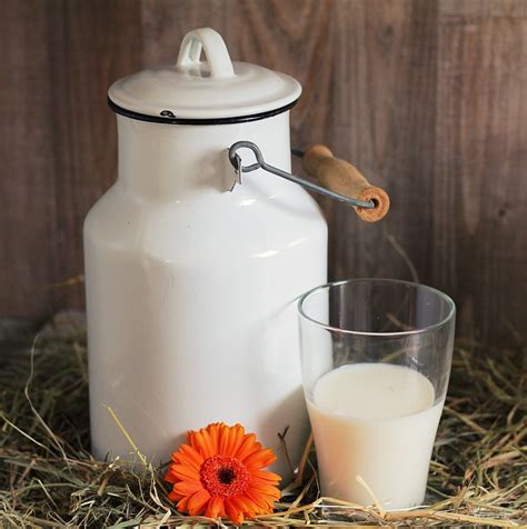 Milchkanne Glas Milch Kostenloses Foto Auf Pixabay Pixabay