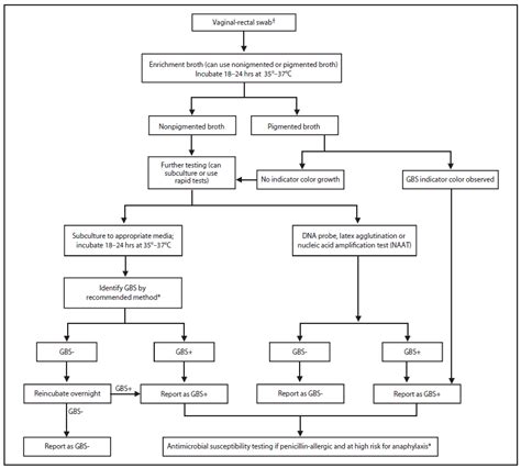 Prevention Of Perinatal Group B Streptococcal Disease