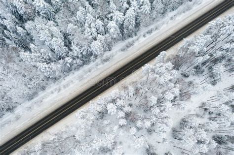 Snow Covered Forest In Winter With Road Cutting Through White Winter