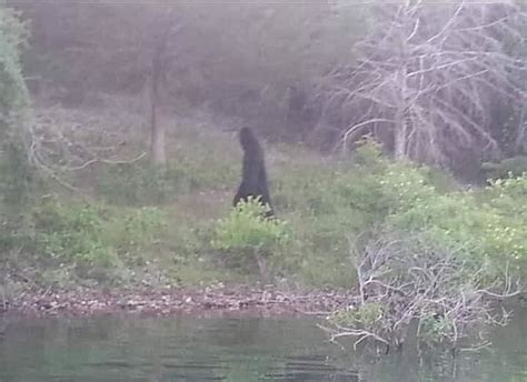 How The Viral Photos Of Bigfoot At An Iowa Park Are Really Fake