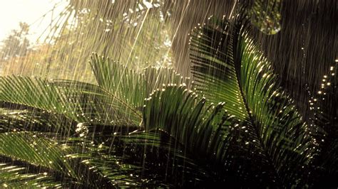 🔥 Free Download Beautiful Monsoon Season Wallpapers Download Hd