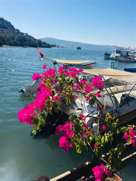Online rezervasyon yaptırın, uygun fiyatlı tatil fırsatını kaçırmayın. İasos - Kıyıkışlacık - Haluk İlhan Diyor ki