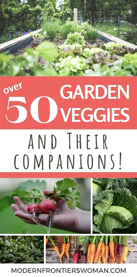 Plant Friend Or Foe Companion Planting In The Vegetable Garden