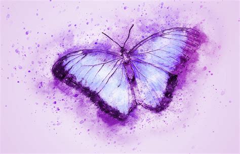 Watercolor Butterfly Wallpapers Bigbeamng