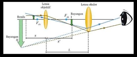 SOLVED Perhatikan Gambar Pembentukan Bayangan Pada Mikroskop Bayangan