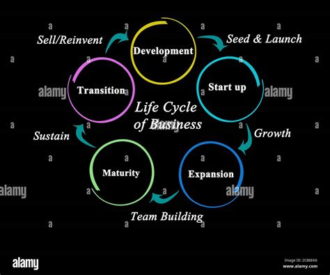 Five Stages Of Life Cycle Of Business Stock Photo Alamy