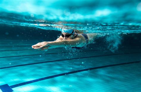 federación española de natación ¿qué es qué funciones realiza y cómo contactar con ella