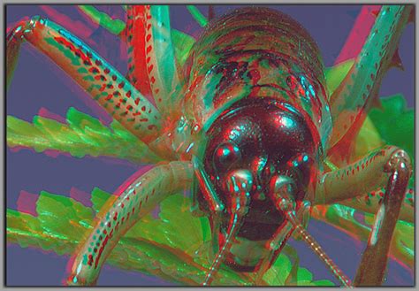 Weta Red Cyan Anaglyph D Use Anaglyph Goggles Red Over Flickr