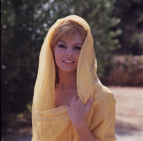 50 Glamorous Photos of Michèle Mercier in the 1960s and 70s Vintage