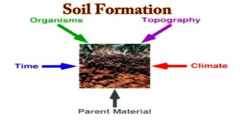 Stages Of Soil Formation