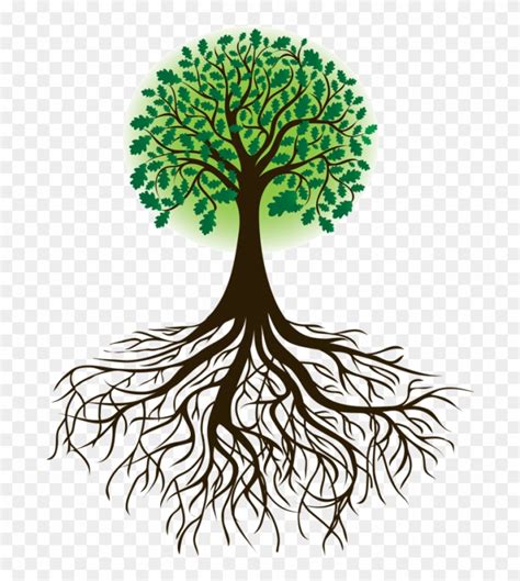Free Roots Clipart Cartoon Tree With Roots Clipart Nohat Cc