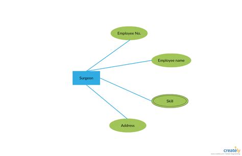 Entity Relationship Diagram (ERD) | ER Diagram Tutorial | Tutorial, Relationship diagram, Diagram