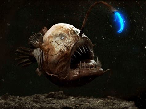 7 Most Terrifying And Bizarre Sea Monsters That Actually Exist