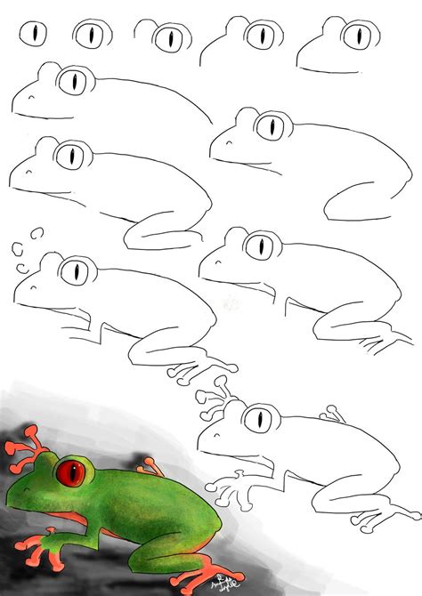 Https://tommynaija.com/draw/easy Steps How To Draw A Frog