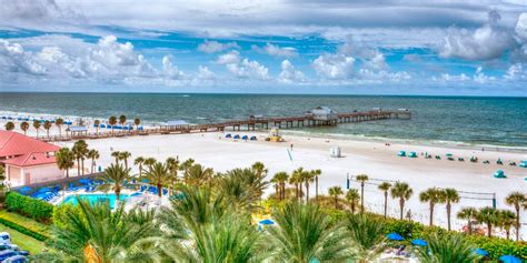 Moving To Tampa Bay The Clearwater Relocation Guide
