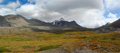 Alpine Tundra In The Rocky Mountains Stock Photo Image Of Nature