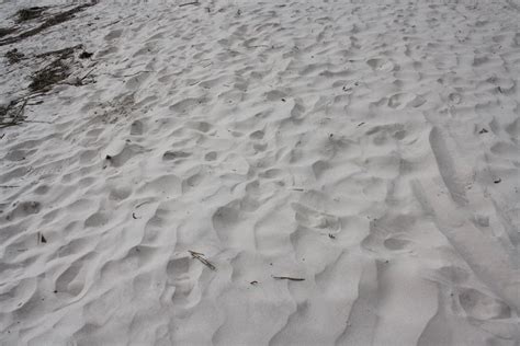 Sand Prints By Charliea Stock On Deviantart