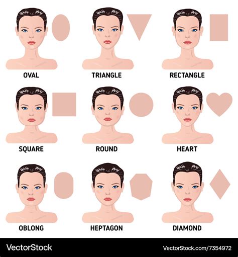 Set Of Nine Different Womans Face Shapes Vector Image