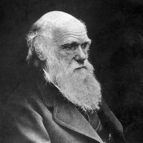 Charles Darwin Wallpapers Wallpaper Cave