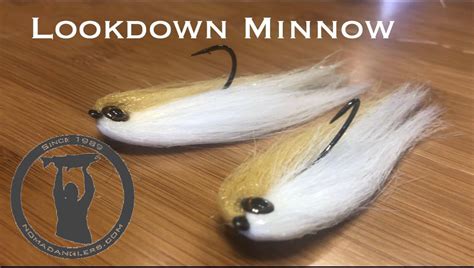 Lookdown Minnow Smallmouth Bass Fly Tying Tutorial Nomad Anglers