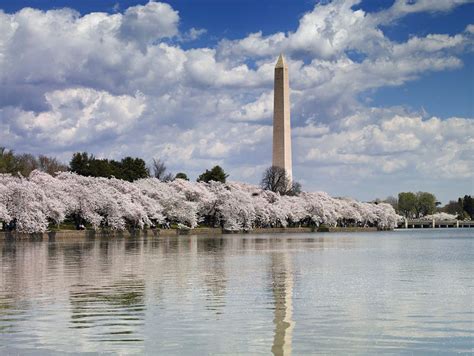 Guide To Visiting The Washington Monument In Dc