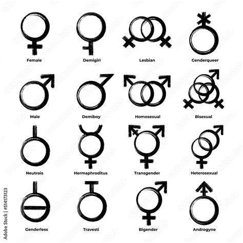 Set Of Basic Gender Symbols Female Demigirl Lesbian Genderqueer