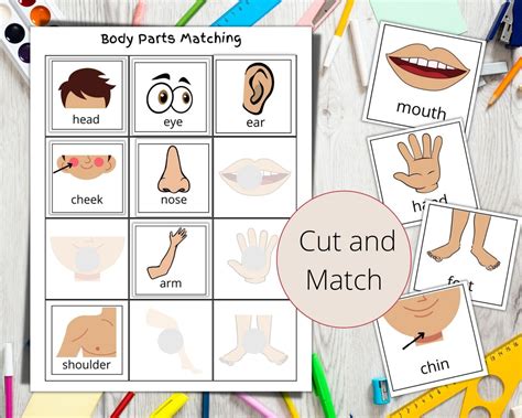 Cut And Paste Body And Face Parts Montessori Worksheets For Kids Of