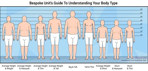 Main Male Body Types How To Tell Them Apart Allobricolema