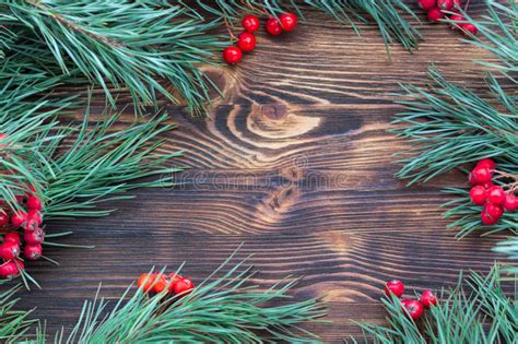 Christmas Seasonal Wooden Background With Pine Branches Red Berries