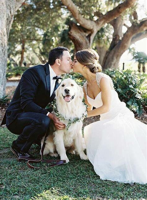 Wedding Pictures With Your Dog Wedding Bliss Pinterest Wedding