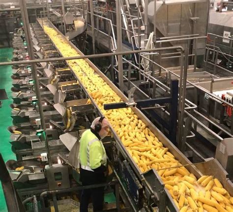 Covid 19 Food Production Ramps Up At Simplot Bathurst And Kelso Yass