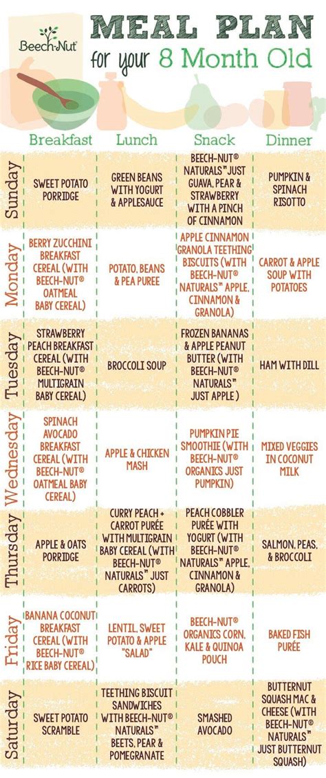 ** not all babies get to 4 hours between milk feedings by this age or ever. Baby Food Meal Plan for Your 8-Month-Old - Adding Texture ...