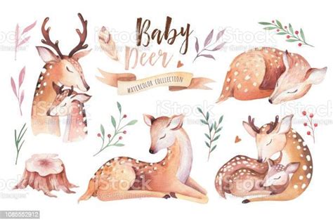Cute Watercolor Baby Deer Animal Nursery Isolated Illustration For