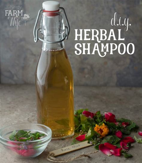 Homemade Herbal Shampoo Herbal Shampoos Herbalism Diy Shampoo