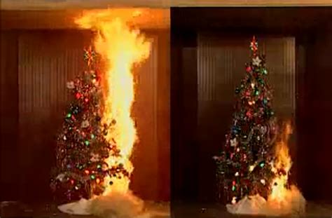 Christmas Tree Proves Deadly In Annapolis Mansion Fire Capital Gazette