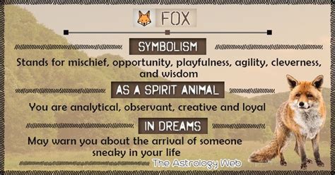 Cats in dreams can either symbolize your own inherent creativity, power, and sexuality, or upcoming dreaming of a black cat may signal a fear of using and trusting your intuition. Fox Symbolism Spirit Animal Dream | Foxes | Spirit animal ...