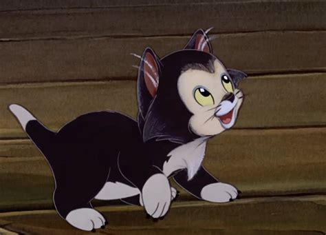 This disney animated classic provides examples of: 70 Disney Cat Names - The Paws