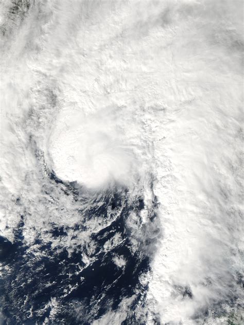 Tropical storm ida formed thursday evening in the west caribbean sea and is projected to target the u.s. Hurricane Ida (2009) | Wiki | Everipedia