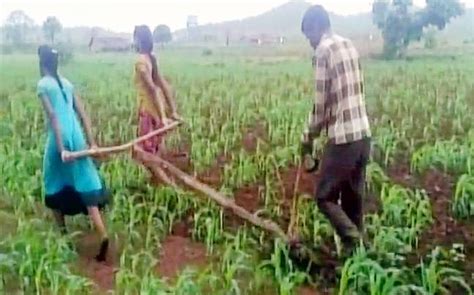Madhya Pradesh Farmer Uses Daughters To Pull Plough